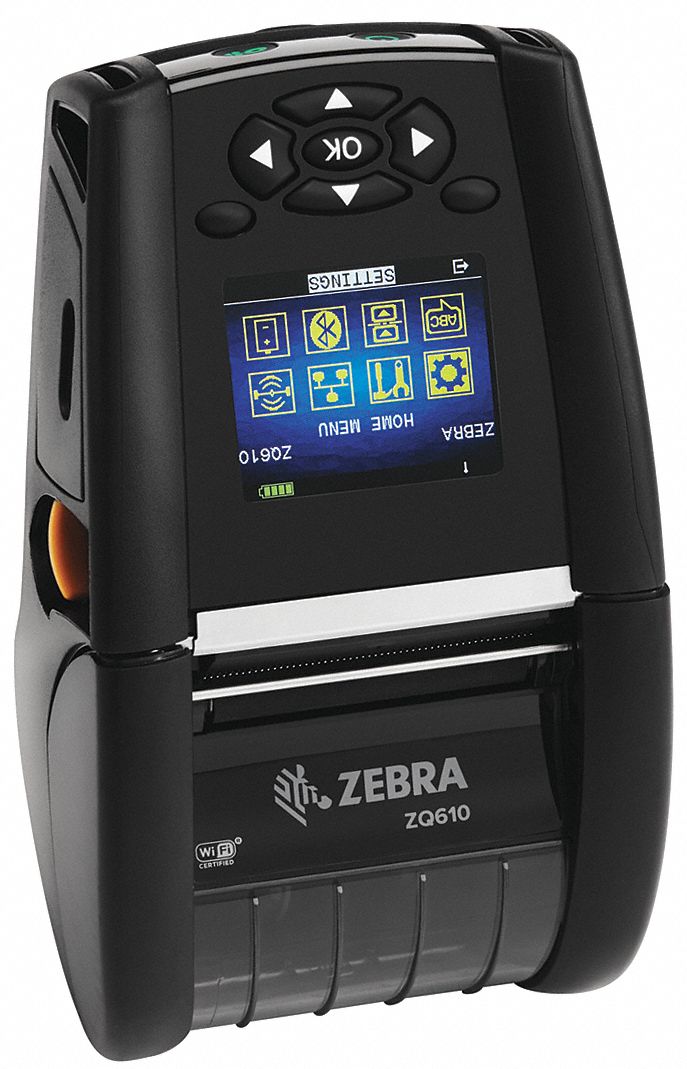 Zebra 3G-OTH-576041