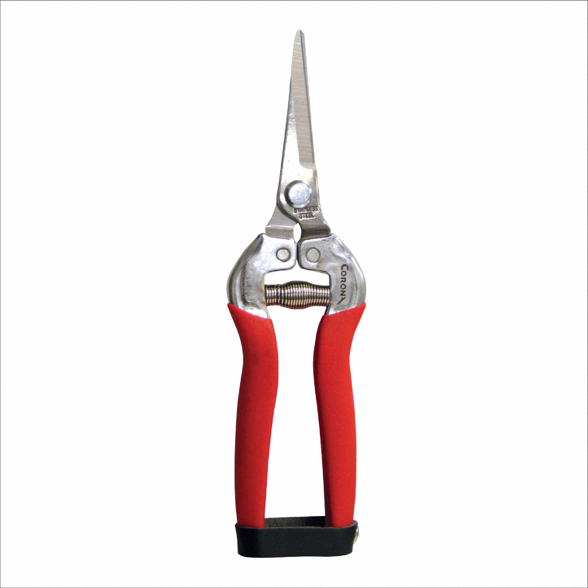Corona 3G-OTH-380358