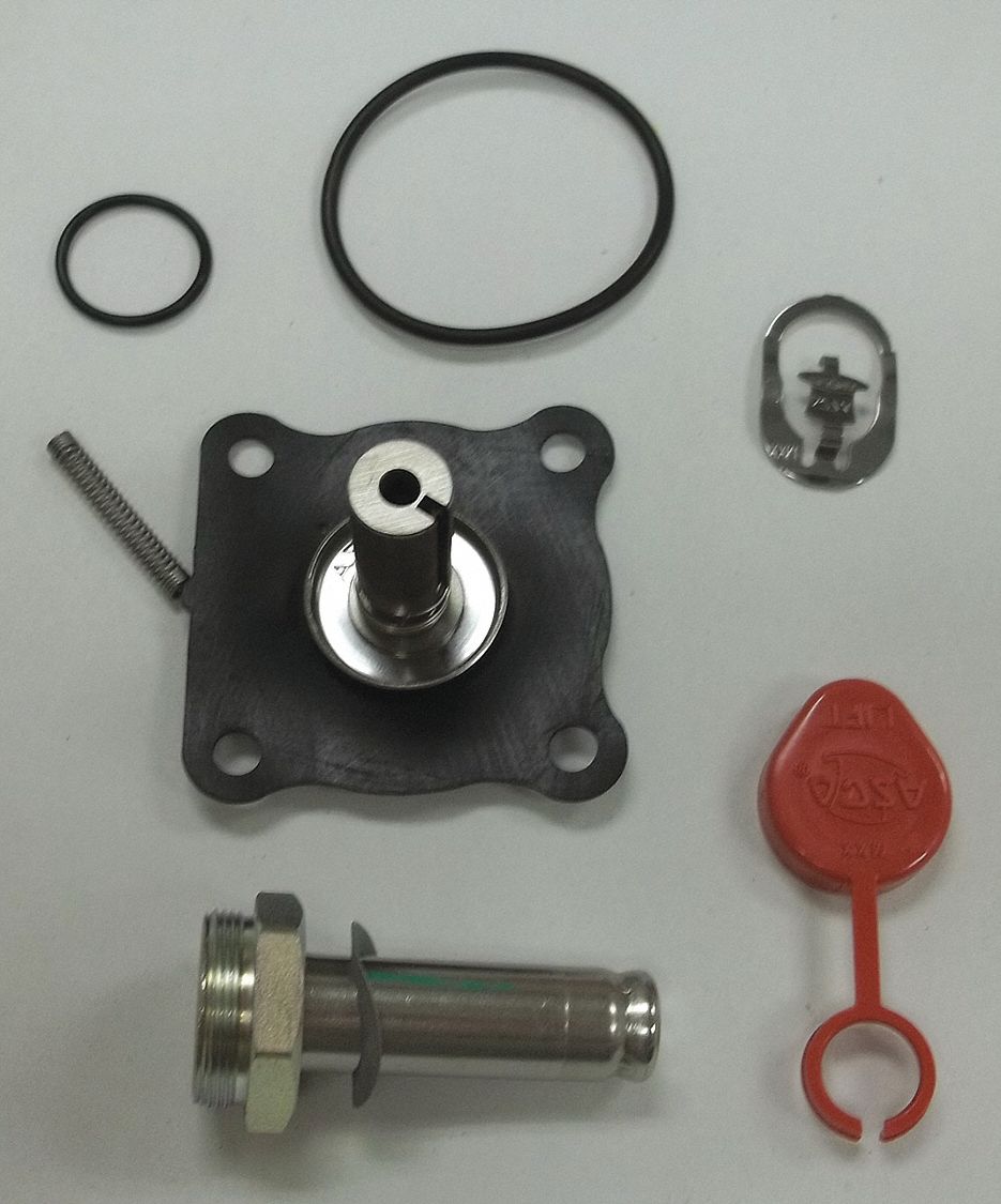 Asco 3G-OTH-457747