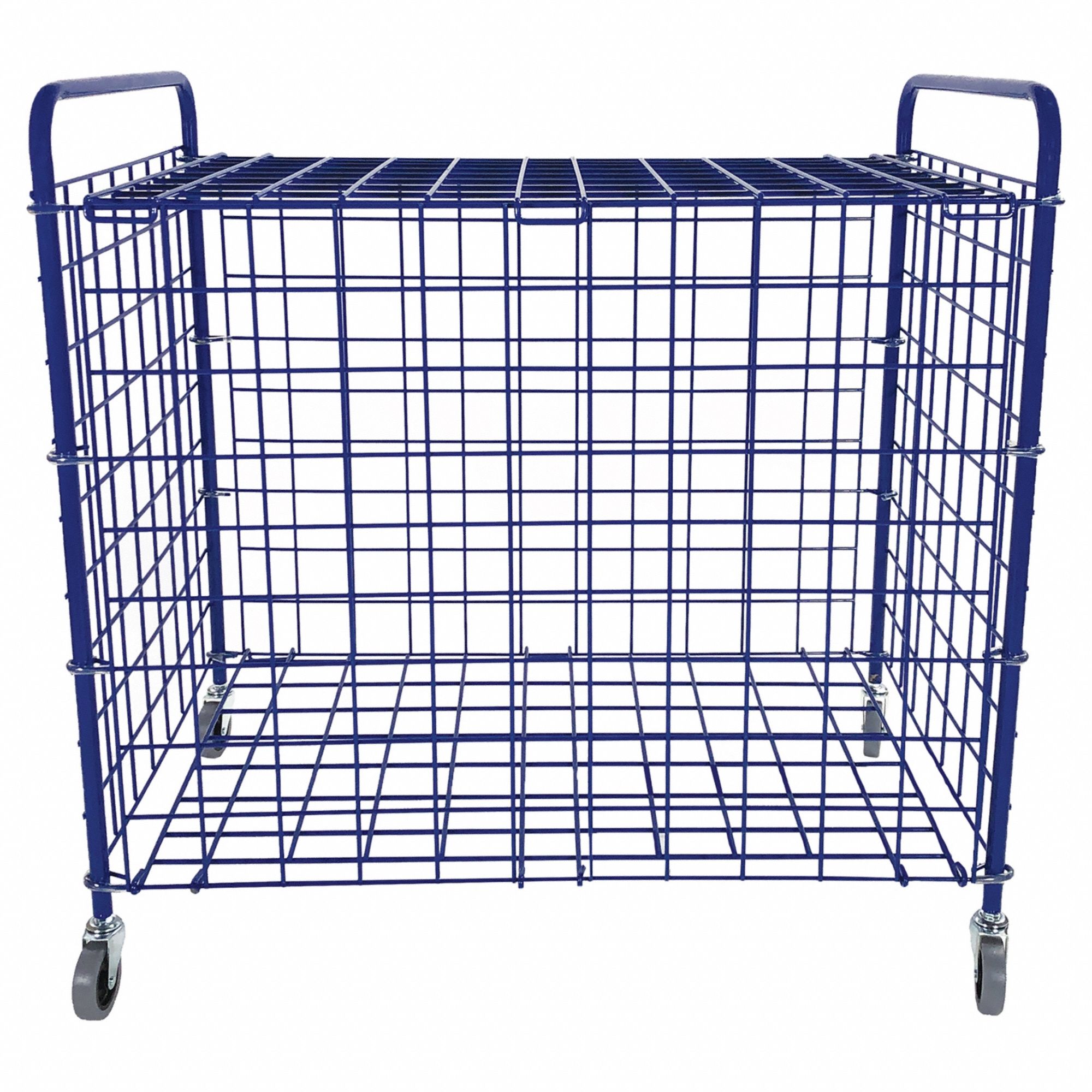 Champion Sports 3G-OTH-604436