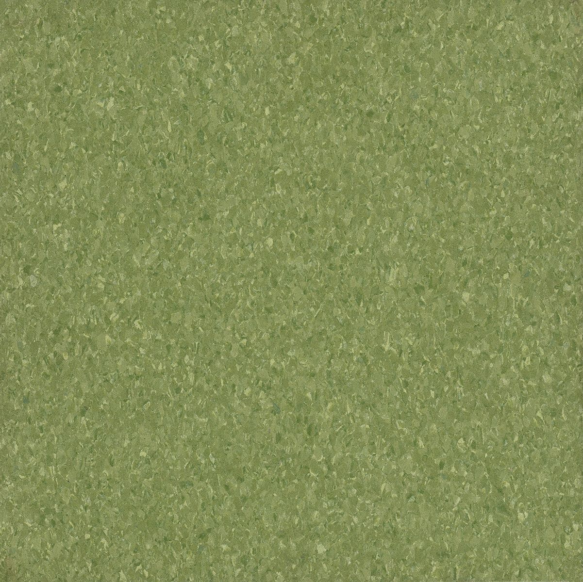 Armstrong Flooring 3G-OTH-572053