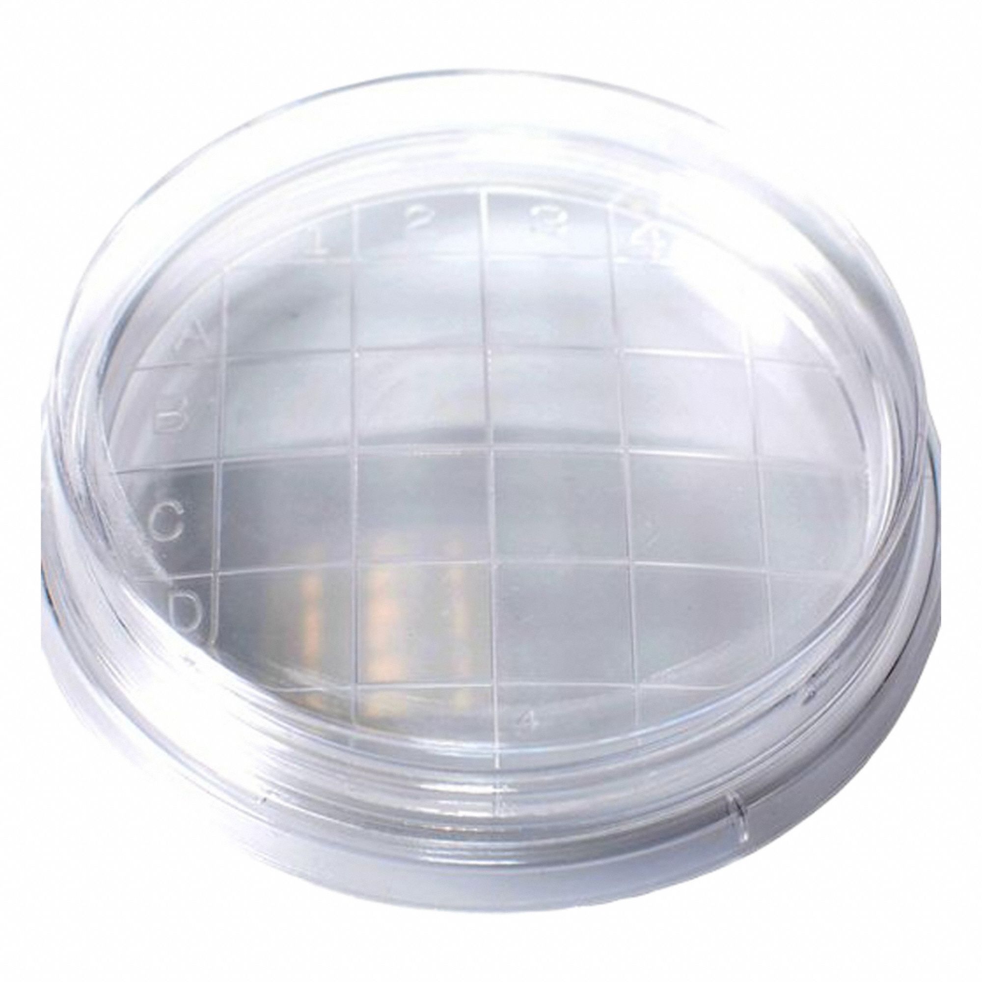 Qorpak 3G-OTH-366801