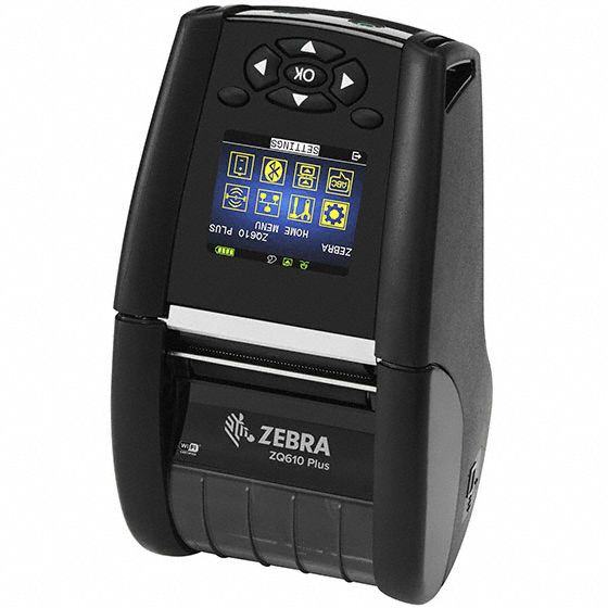 Zebra 3G-OTH-576040