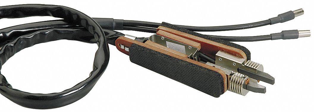 American Beauty 3G-OTH-357955