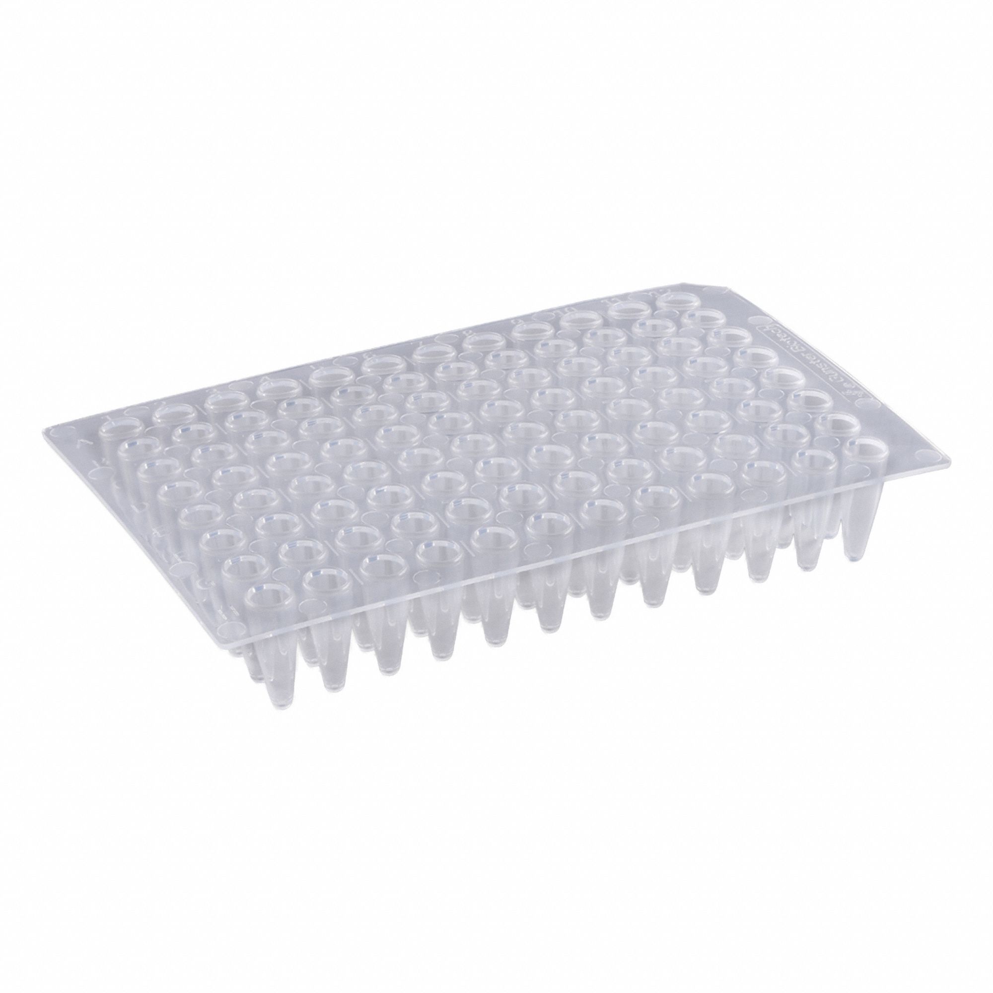 Qorpak 3G-OTH-374694