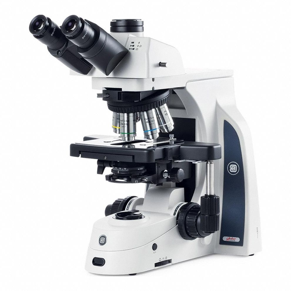 Globe Scientific 3G-OTH-374358