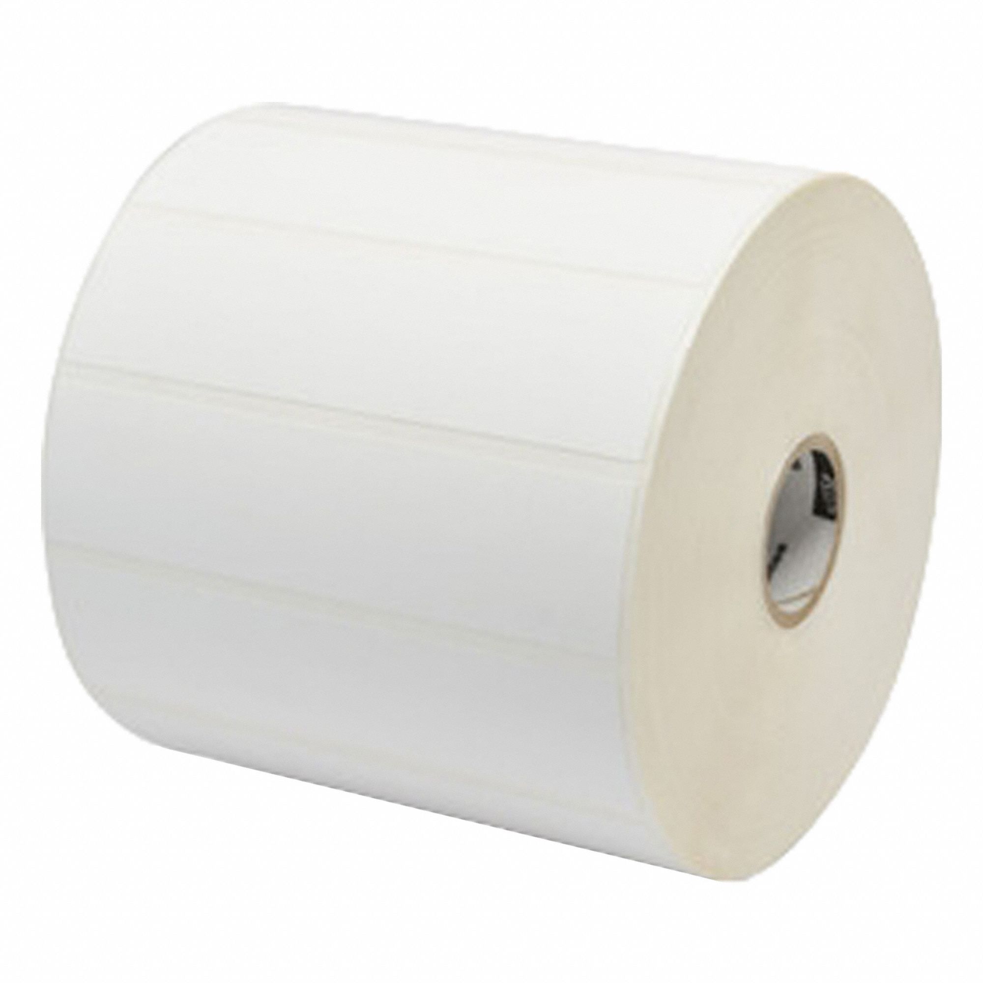 Zebra 3G-OTH-579433