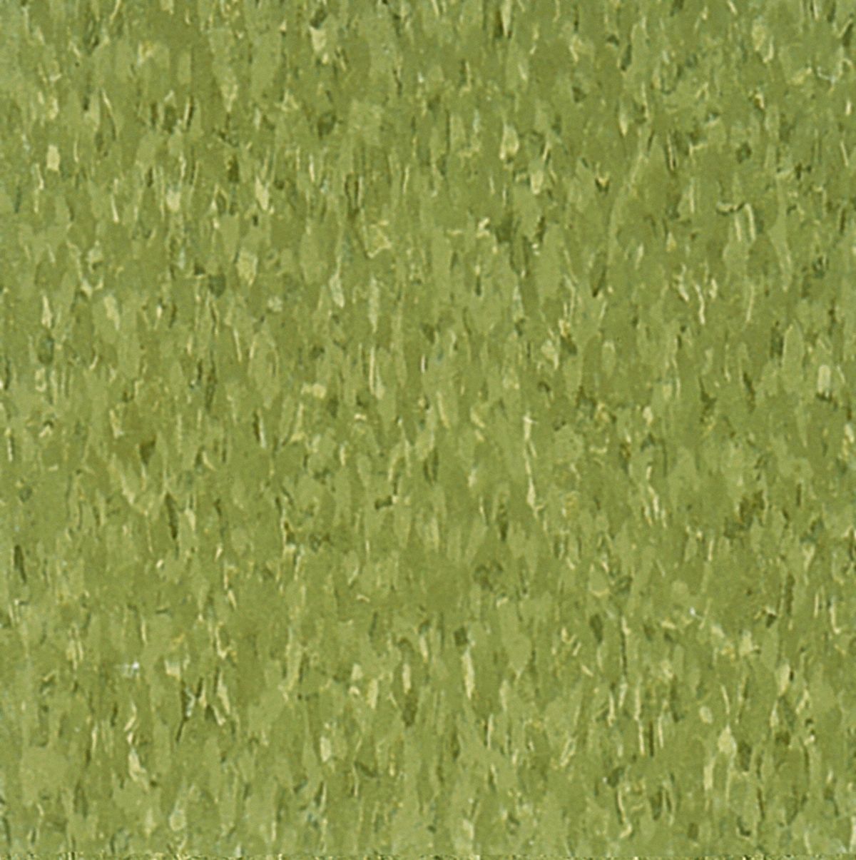 Armstrong Flooring 3G-OTH-575971