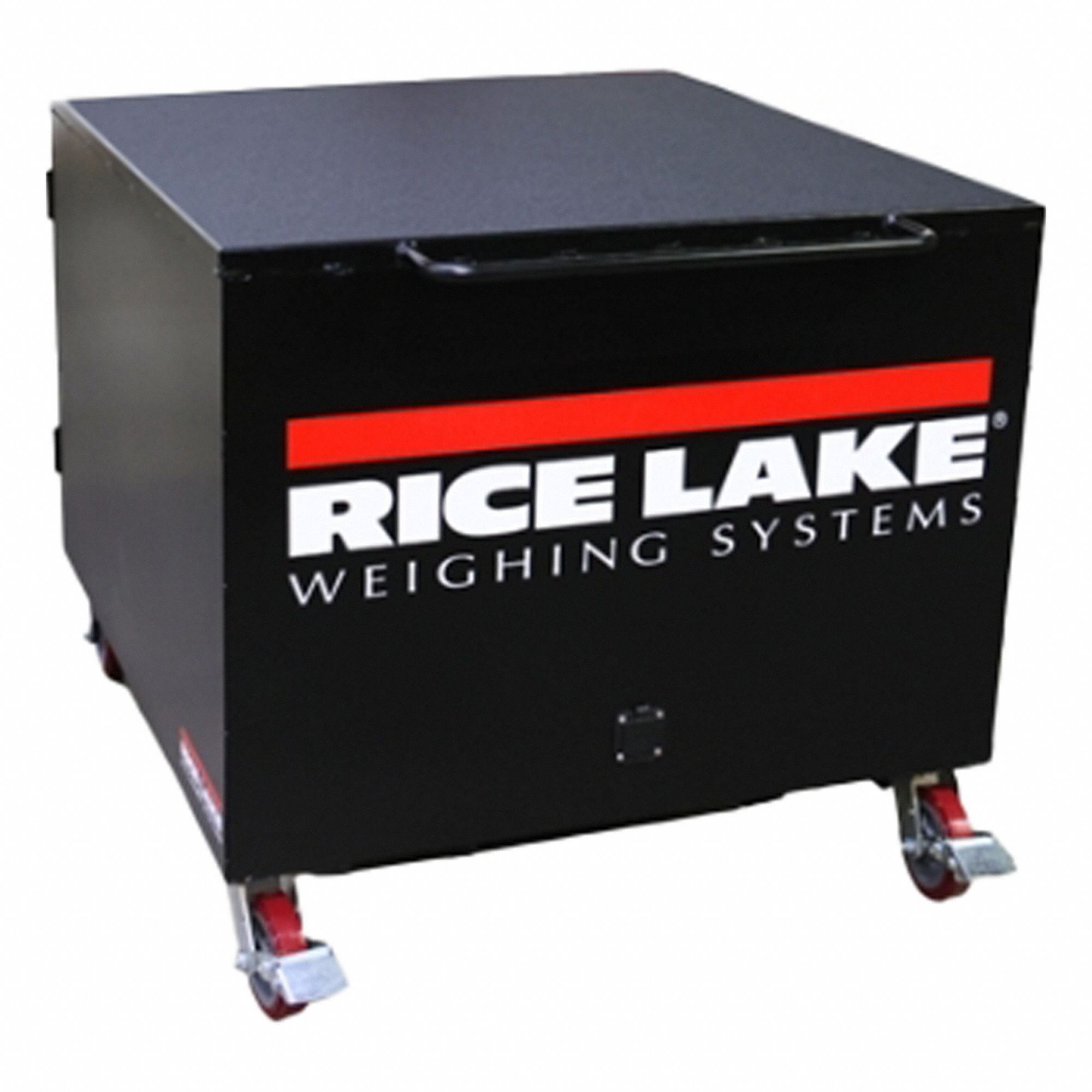 Rice Lake Weighing 3G-OTH-343937