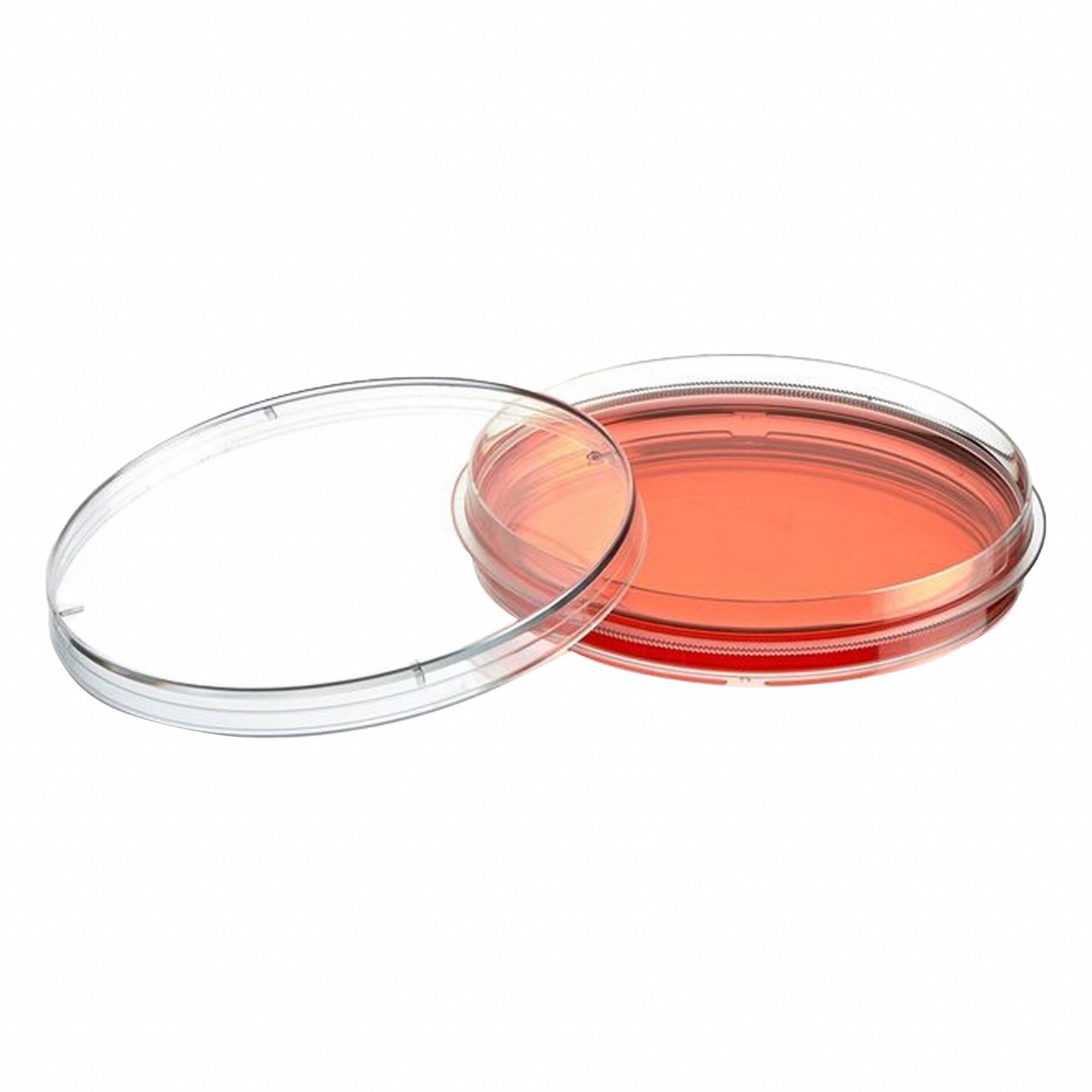Globe Scientific 3G-OTH-378627
