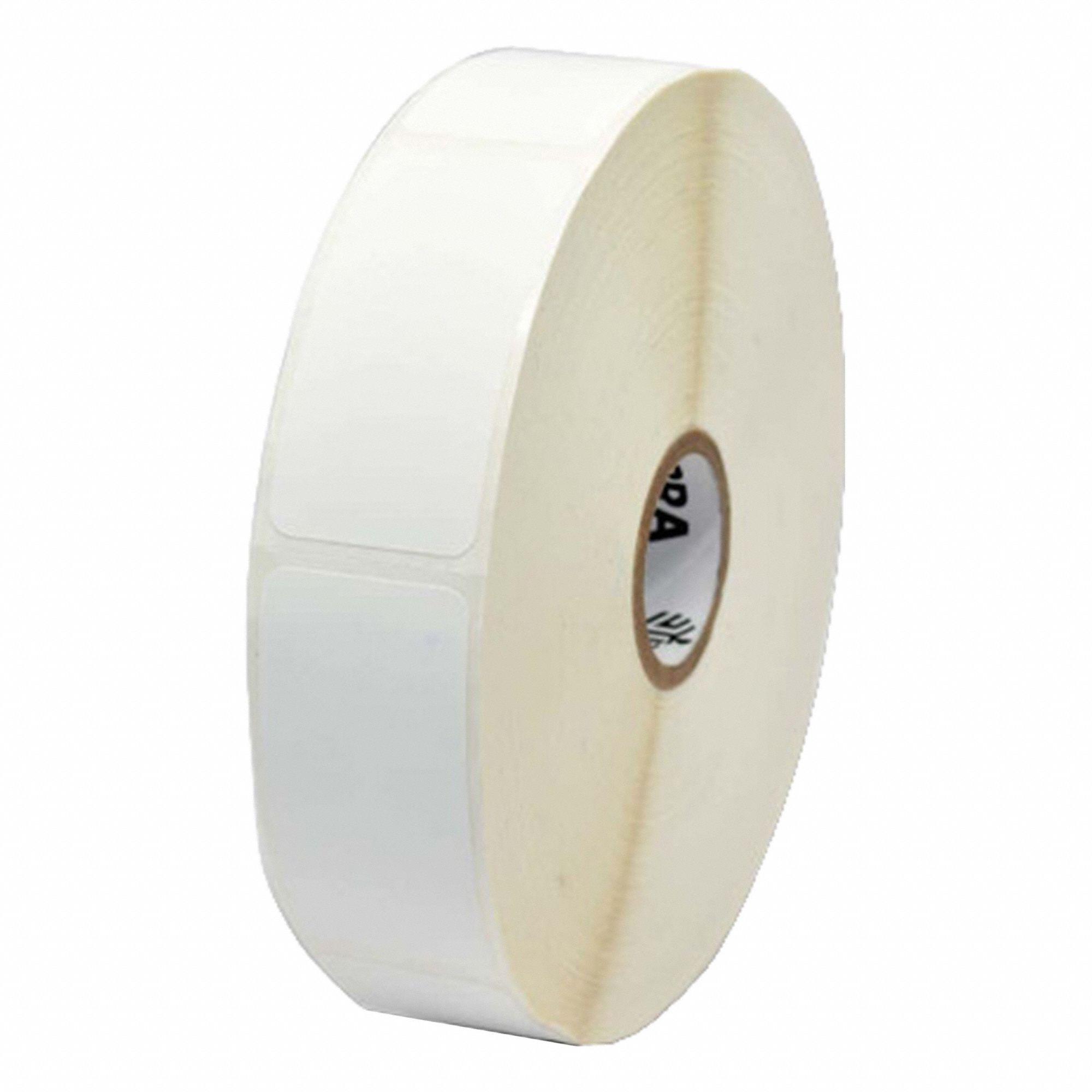 Zebra 3G-OTH-580674