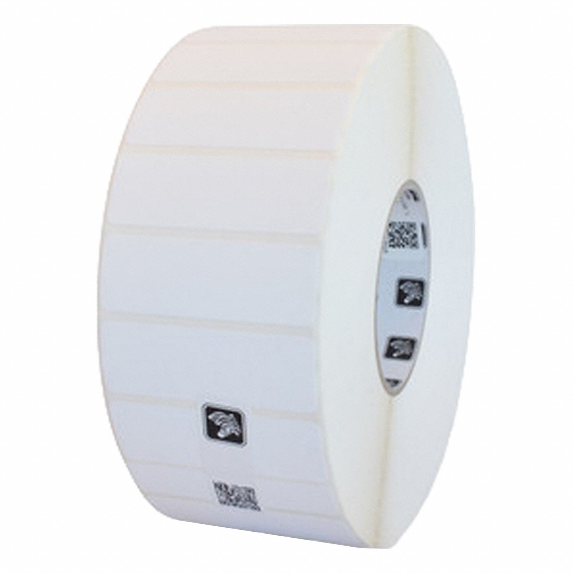 Zebra 3G-OTH-592089