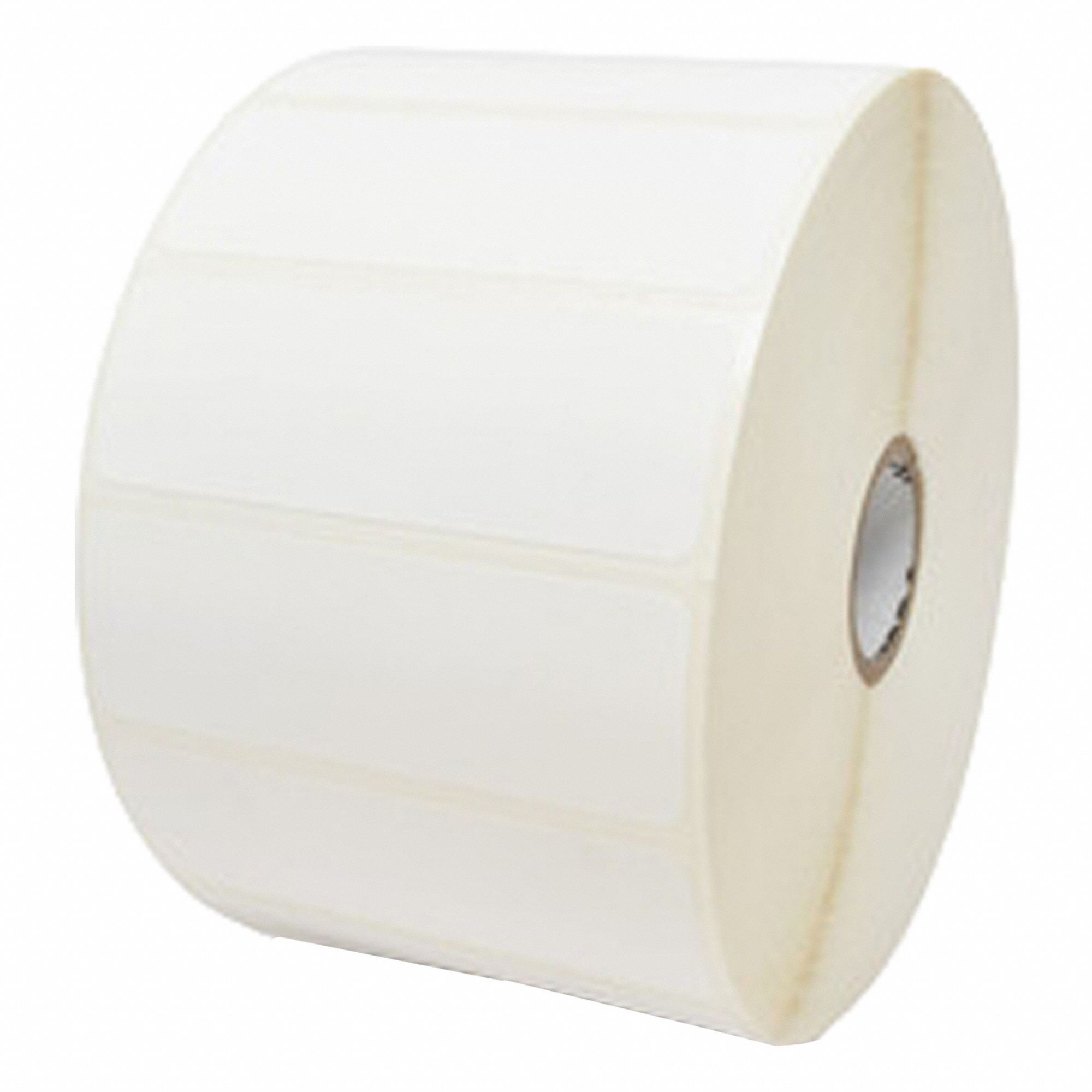 Zebra 3G-OTH-579388