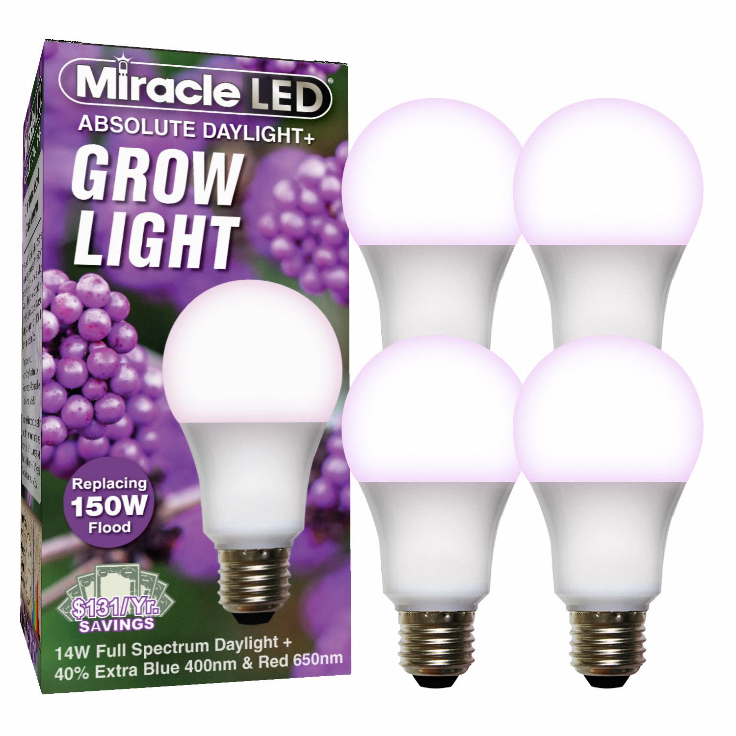 Miracle Led 3G-OTH-391251