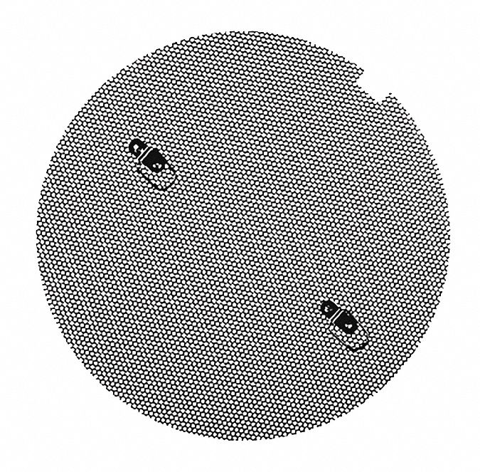 Pig 3G-OTH-347463