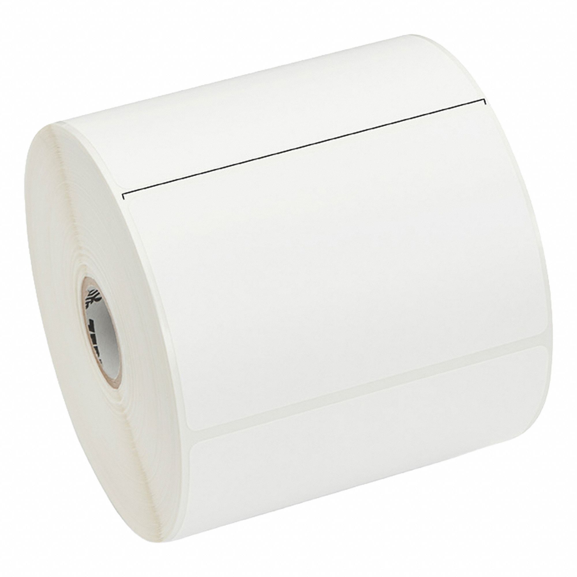 Zebra 3G-OTH-580697