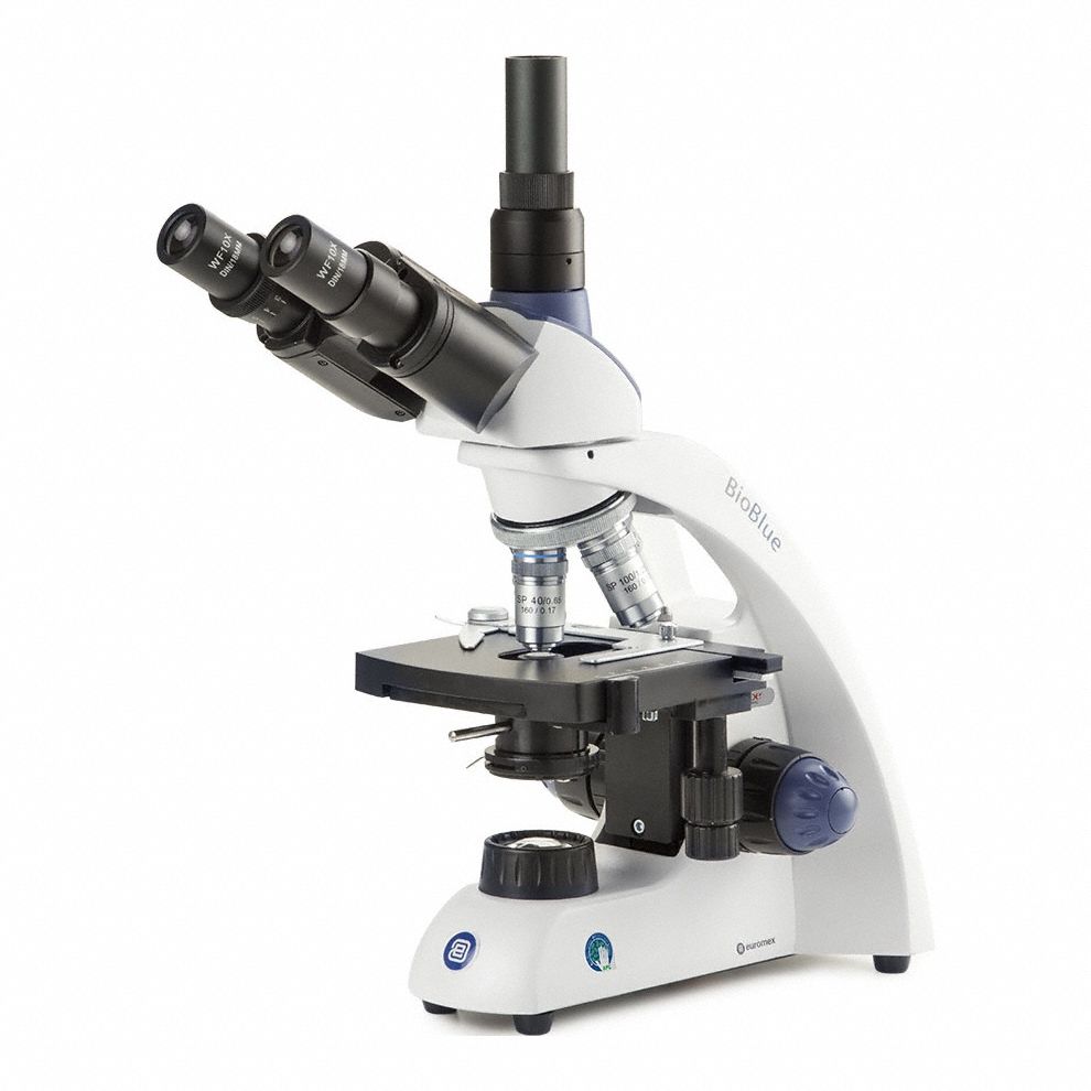 Globe Scientific 3G-OTH-374370
