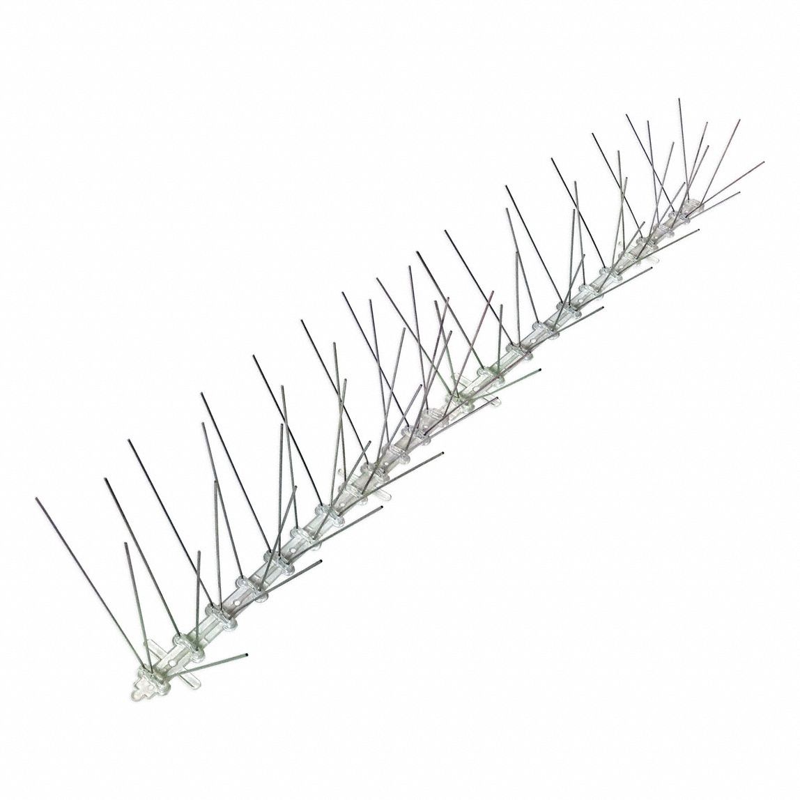 Bird-x 3G-OTH-372518