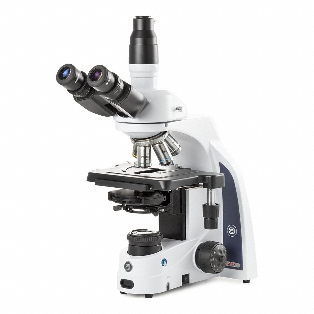 Globe Scientific 3G-OTH-374372