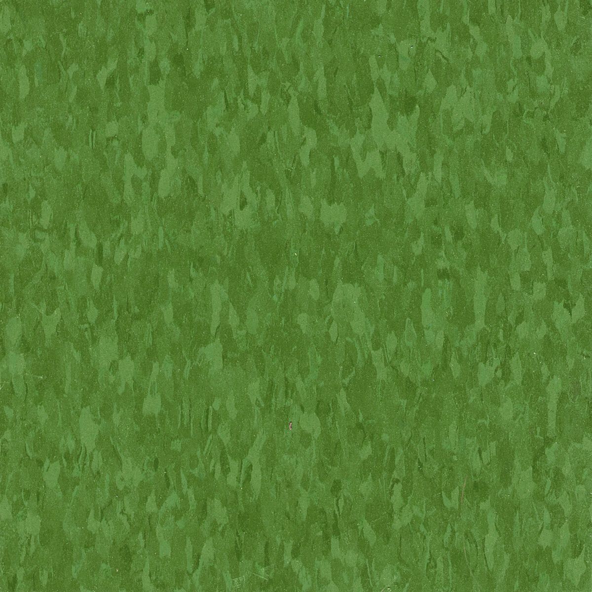 Armstrong Flooring 3G-OTH-575969