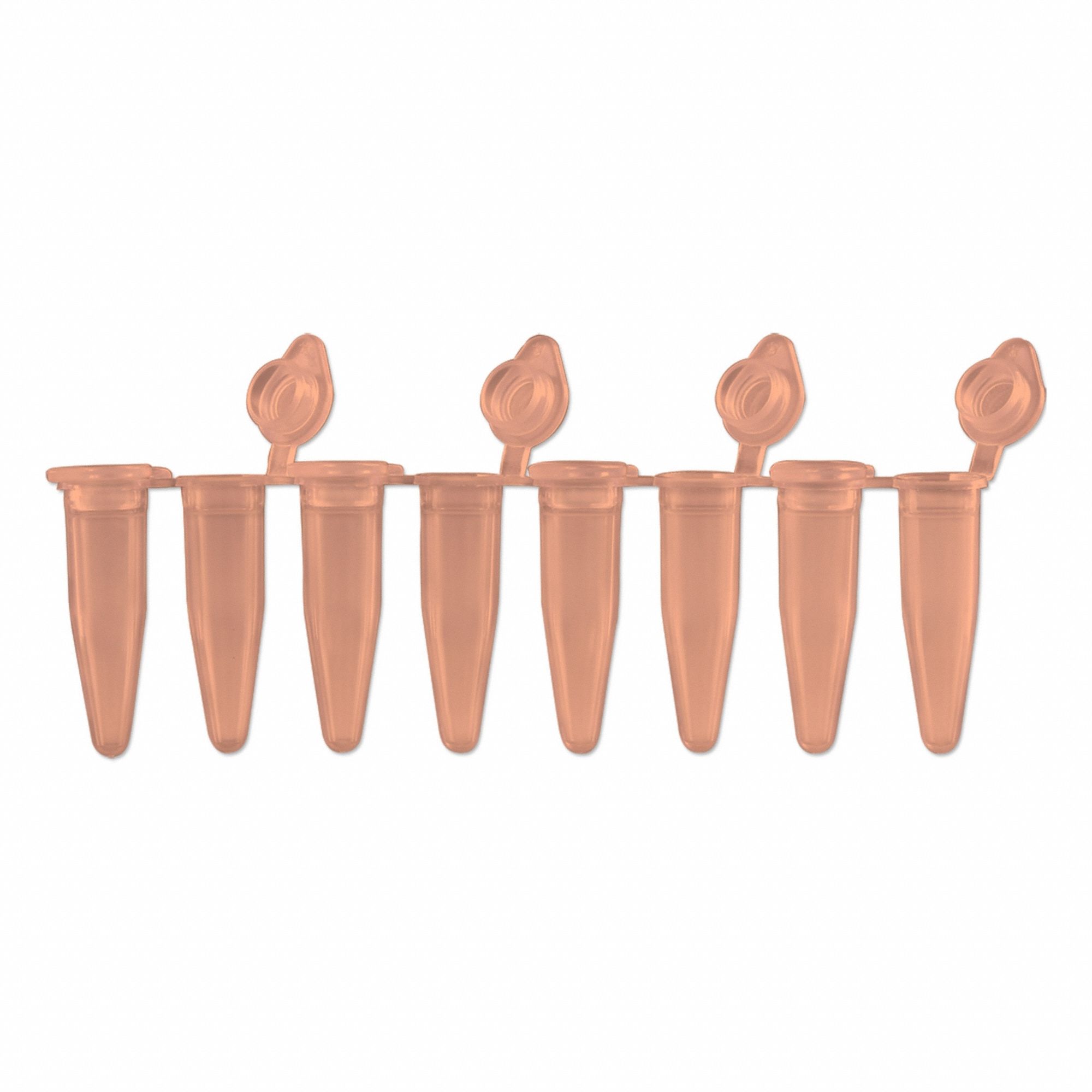 Approved Vendor 3G-OTH-381526