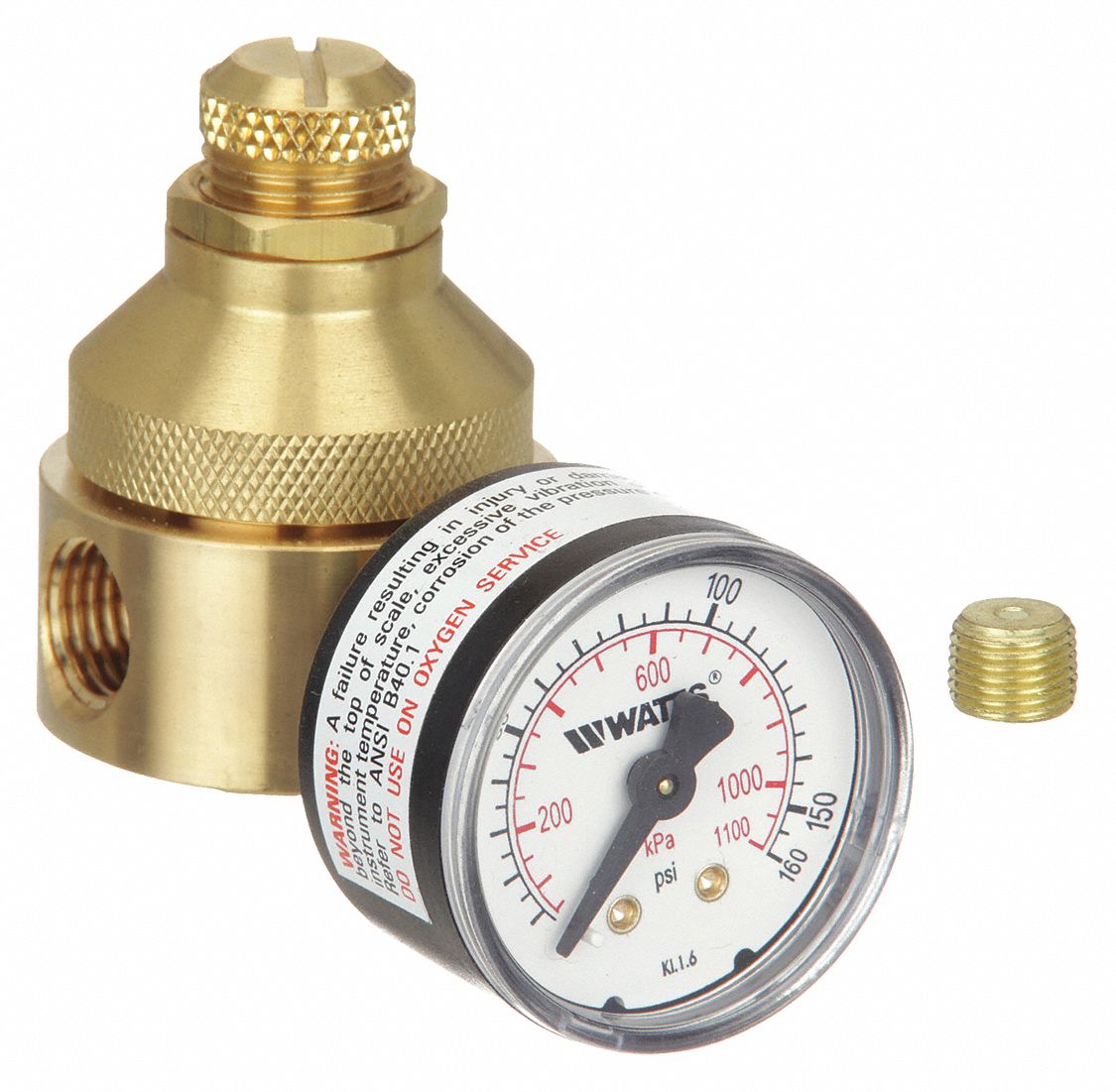 Watts 3G-OTH-439356