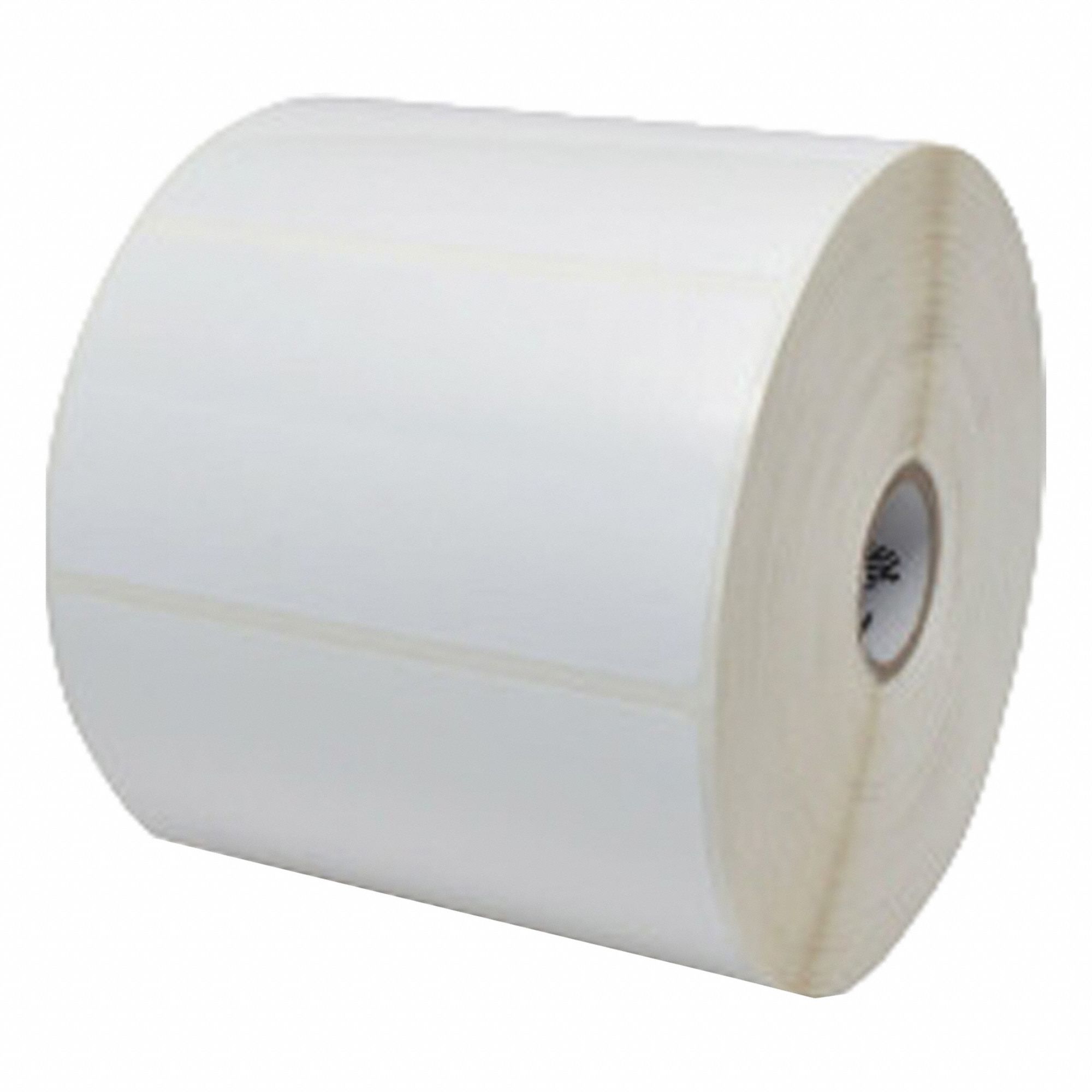 Zebra 3G-OTH-580695
