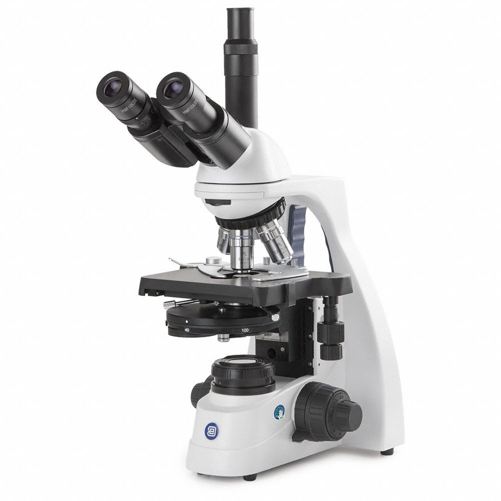Globe Scientific 3G-OTH-374346