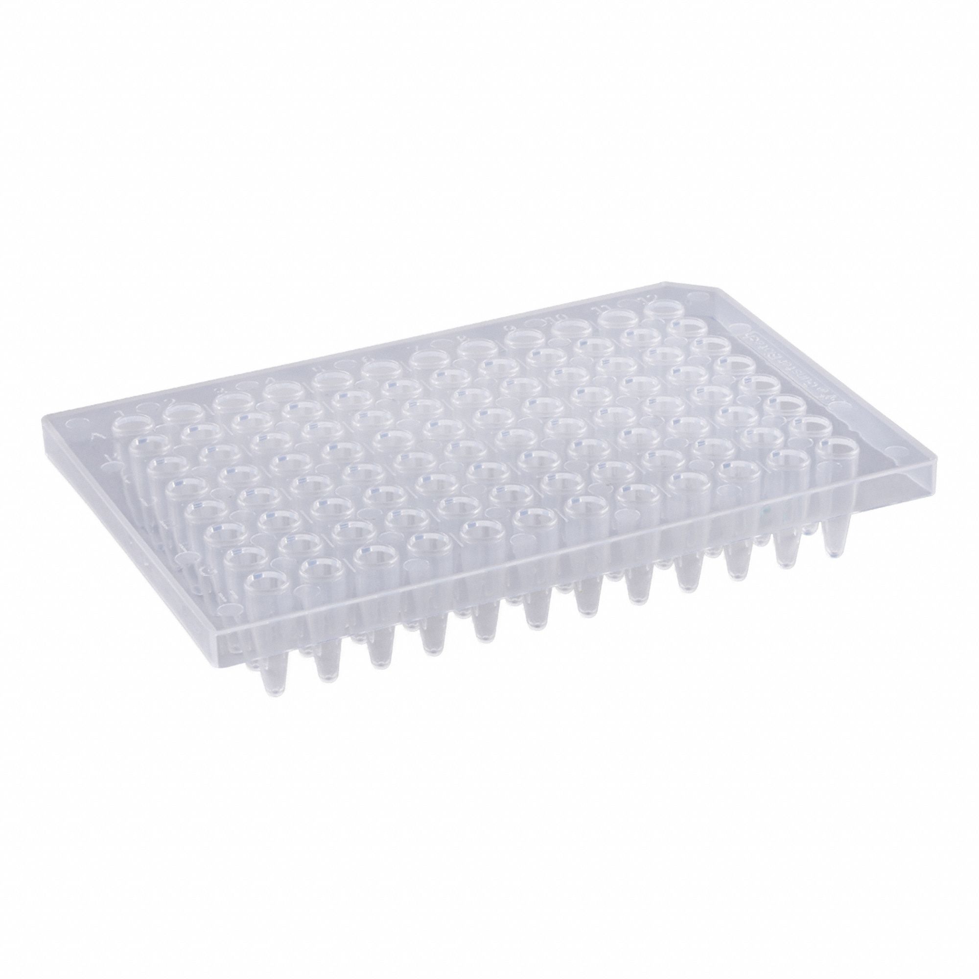 Qorpak 3G-OTH-374707