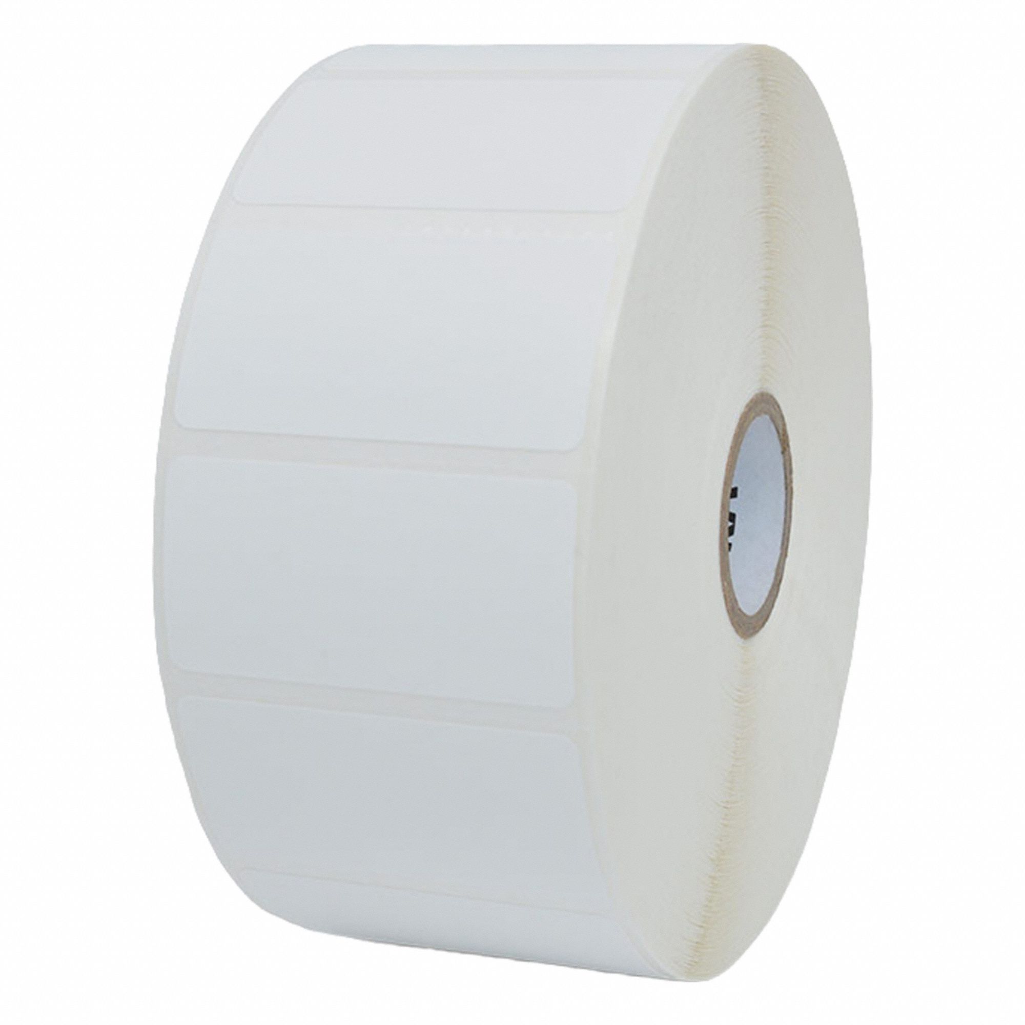 Zebra 3G-OTH-580719