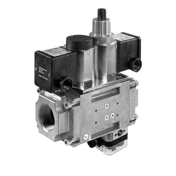 DUNGS DMV/624L NEMA 4 & POC - Dual Safety Shutoff Valves with "Proof of Closure" and NEMA 4x Enclosure (US/CA)