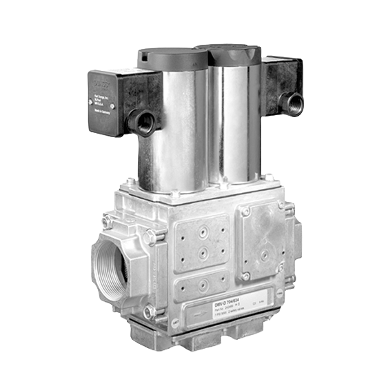 DUNGS DMV 704 NEMA 4 - Dual Modular Safety Shutoff Valves with NEMA 4x Enclosure (US/CA)