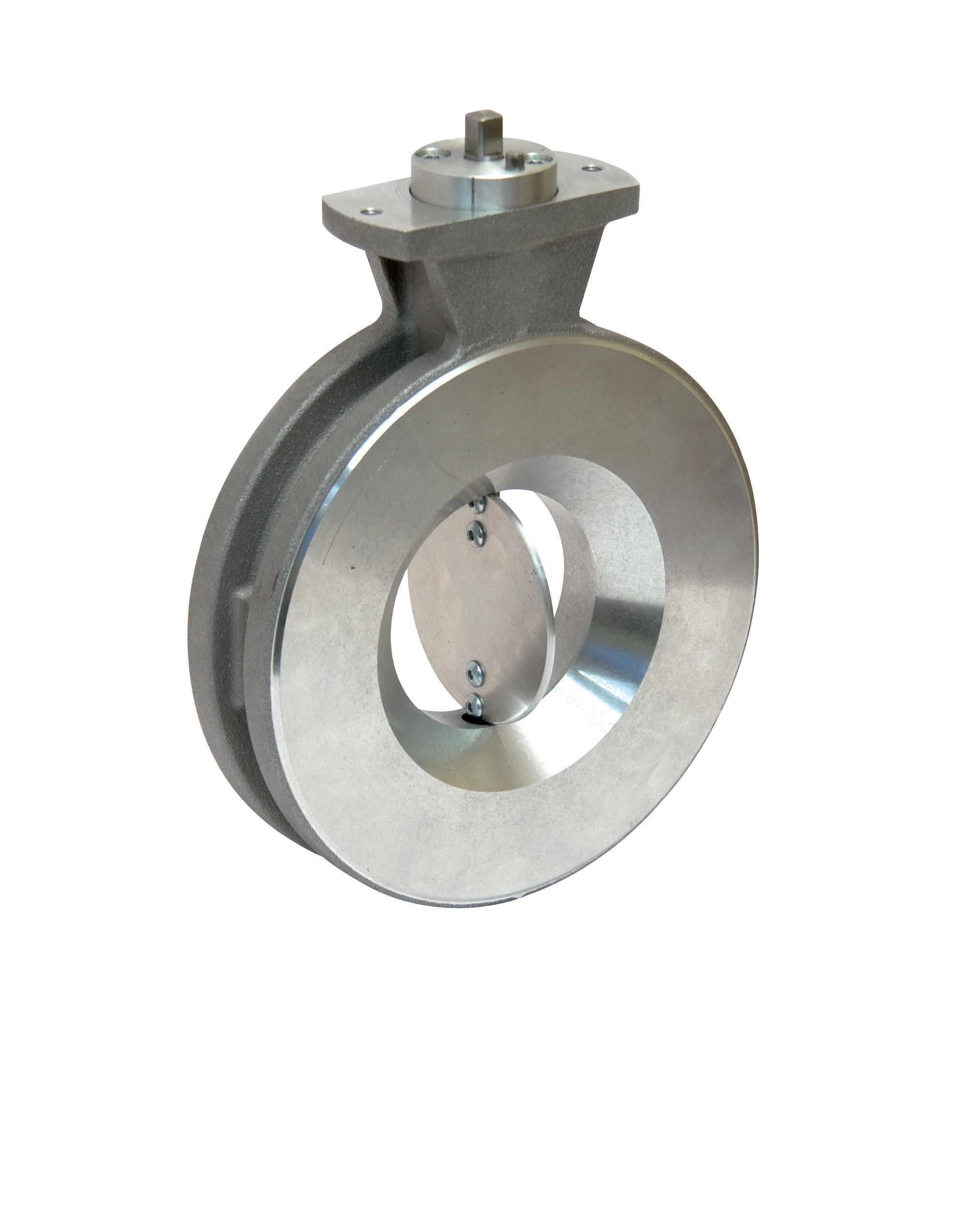 Butterfly valve VF6 DN 50