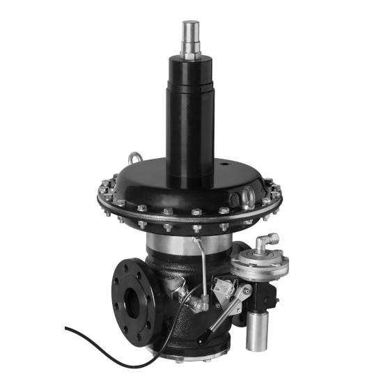 DUNGS SAV Limit Switch