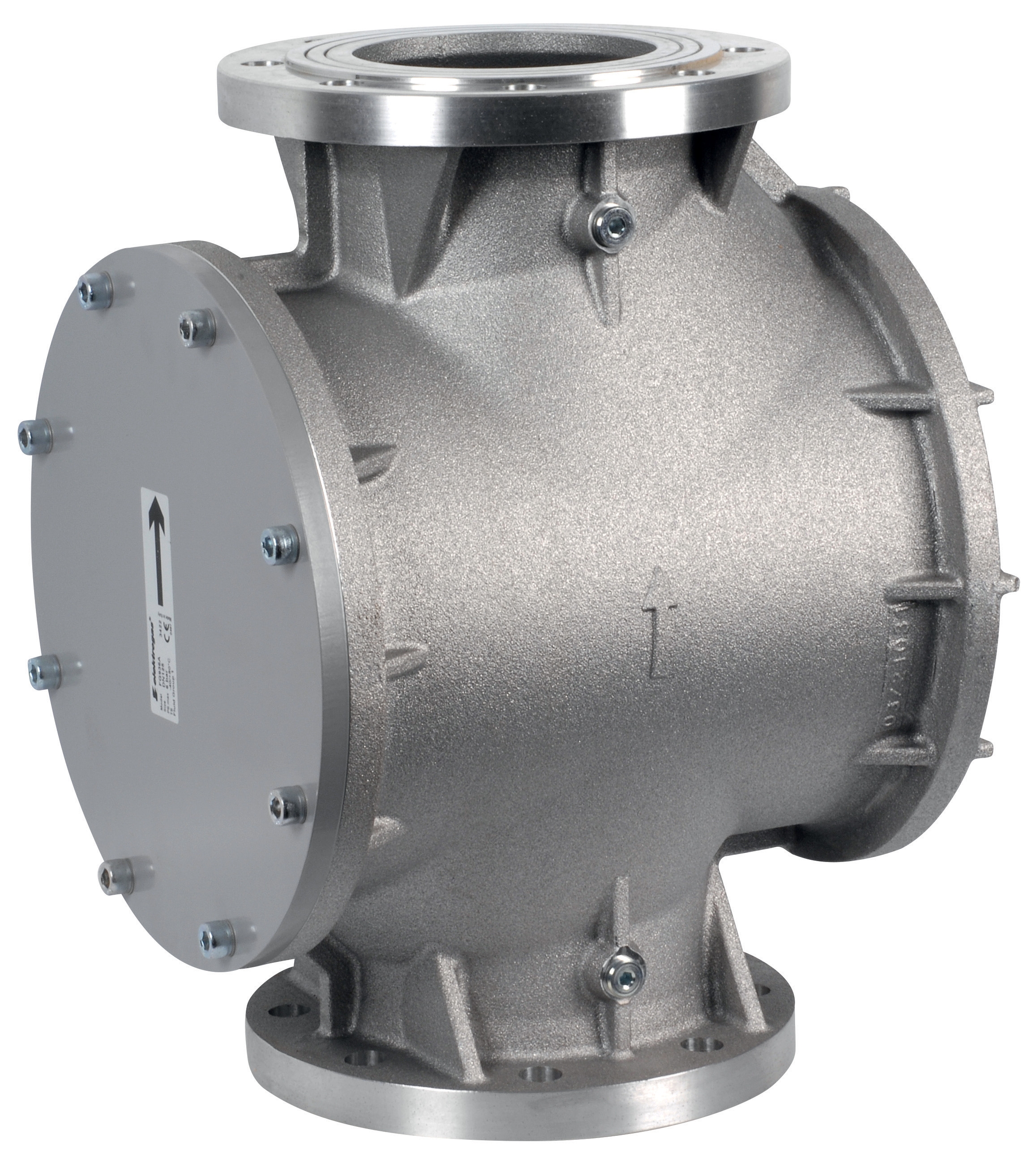Gas filter 6 bar with flanges DN80 FG8-6A