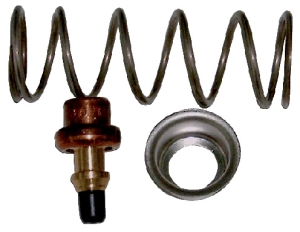 Thermostatic regulator Roca 5699393