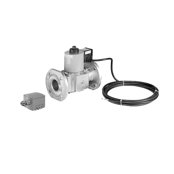 DUNGS Valves and Pressure Switches for ATEX Applications
