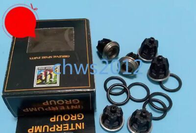 Interpump Kit 28 (WS201)