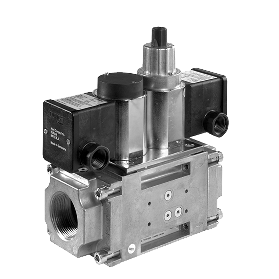 DUNGS DMV/604L NEMA 4x - Dual Modular Safety Shutoff Valves with NEMA 4x Enclosure (US/CA) - Double solenoid valve