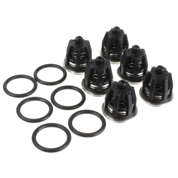KIT 341 INLET VALVES S.53SS