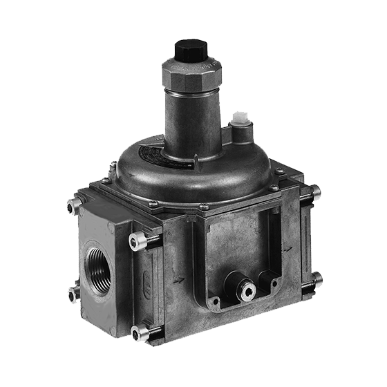 DUNGS FRI - Pressure Regulator for DMV