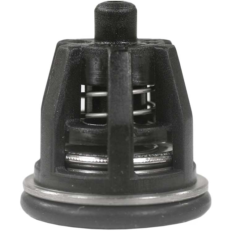 INTAKE/DELIVERY VALVE