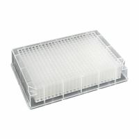 MTC BIO Deep-Well Well Plate: Sterile, 384 Wells, 0.24 mL, 3.6 mm Dia, RNase/DNase Free, Square (MPN D3384-03S). Key specifications — Brand: MTC BIO; Body Color: Colorless; RNase/DNase Free: Yes; Well Shape: Square; Material: Polypropylene.