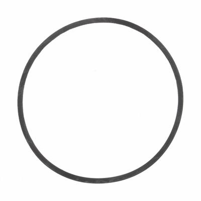 FILL-RITE Gasket: Gasket - Seals & Gaskets for Fuel & DEF Transfer Pumps