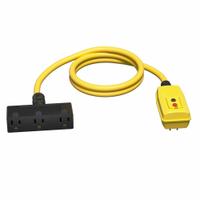 APPROVED VENDOR Plug-In GFCI: Manual Reset, 6 2/5 ft Lg, 12/3, 5-15P Plug, 15 A Current, 125V AC (MPN 875LE9). Key specifications — NEMA Plug Configuration: 5-15P; NEMA Receptacle Configuration: 5-15R; Brand: APPROVED VENDOR; Voltage: 125V AC.
