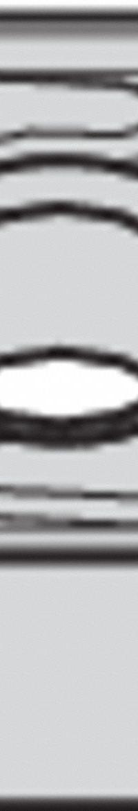 WIDIA Diamond Turning Insert: DNMG4414P, DNMG1506044P (MPN 4165865). Key specifications — attr257732: DNMG4414P; attr257733: DNMG1506044P.