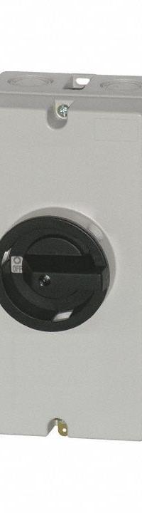 BENEDICT GMBH Solar Safety Disconnect Switch: Non-Fusible, 25 A, 600V DC, Indoor/Outdoor (MPN LS25 PFLH4 A4). Key specifications — Phase: Three; UL 98B Certification: No; Brand: BENEDICT GMBH; Voltage Rating: 600V DC.