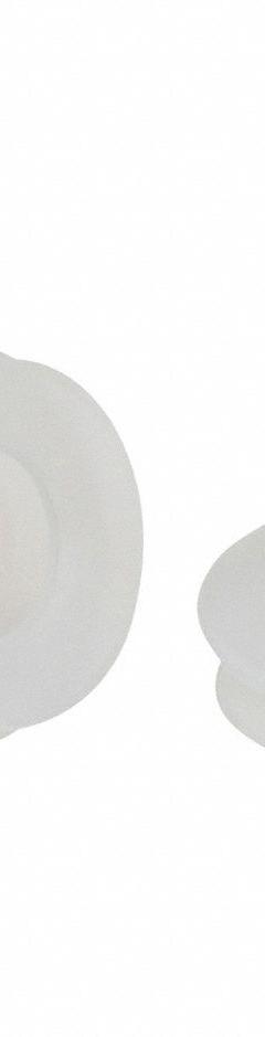 SCHMALZ Vacuum Pad Assembly: Bellows, 1.5 Folds, G1/4 in Vacuum Port, 38 mm Pad Dia, Clear, 55 A (MPN 10.01.06.00091). Key specifications — attr1019136: 10.01.06.00091; attr1019138: SCHMALZ; attr1019139: 55 A.