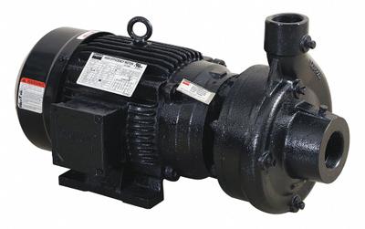 Dayton Centrifugal Pump: 3 hp, 208-240/480V AC, 84 ft Max Head, 2 in - 2 to 3 HP Straight Centrifugal Pumps