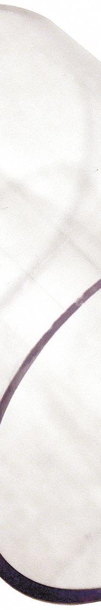 AMS Cup Liner: Plastic, 2 in Overall Dia, 4 in Overall Lg (MPN 404.20). Key specifications — Material: Plastic; Brand: AMS.